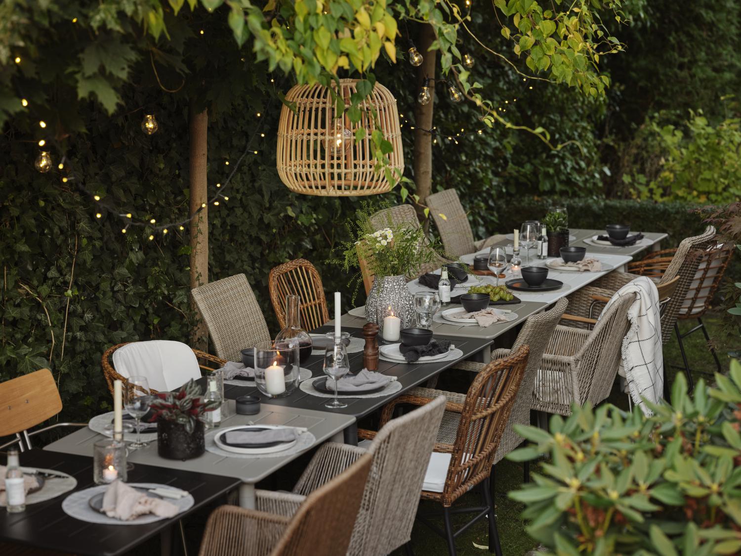 Anemon matstol Natur