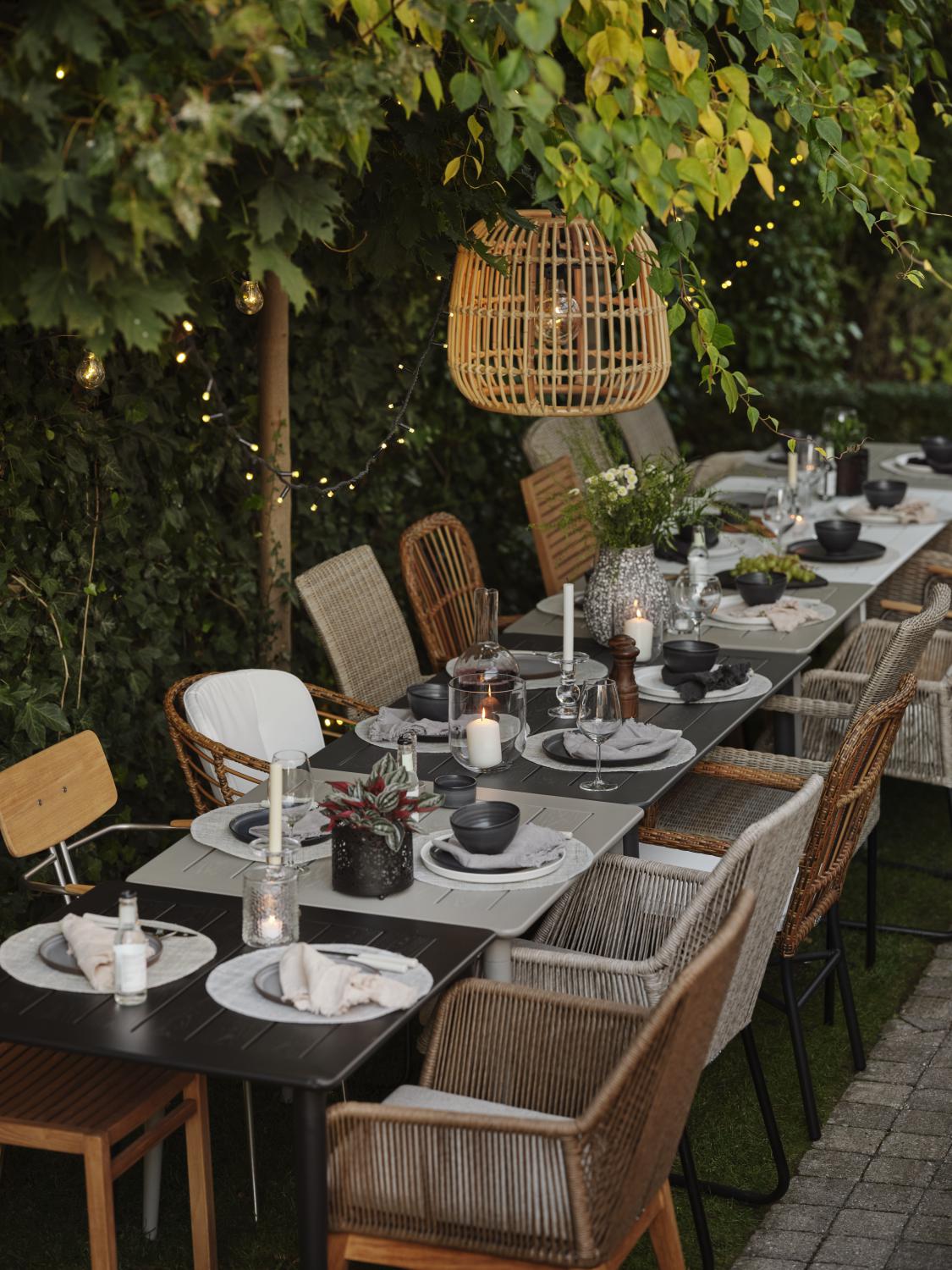 Anemon matstol Natur