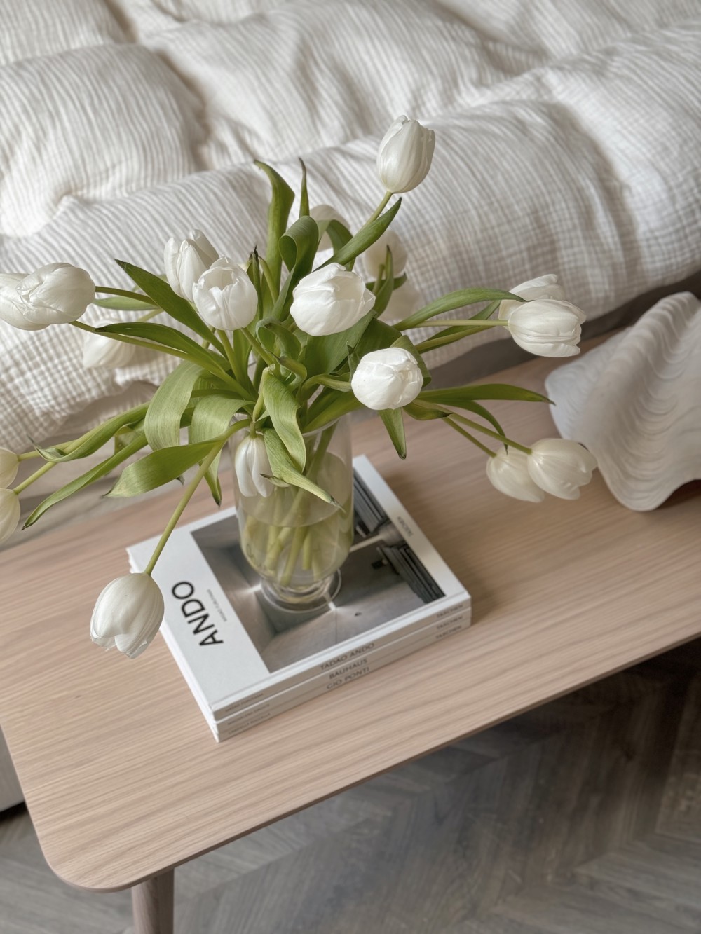 Yumi Bänk, Vitpigmenterad